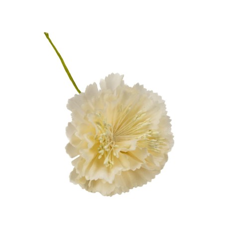 FIORE GAROFANO T.6cm PANNA